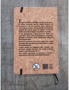 CADERNO CORTIZA TD 80hj. L. A5 DIAÑO BURLEIRO 2