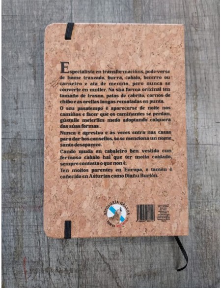 CADERNO CORTIZA TD 80hj. L. A5 DIAÑO BURLEIRO