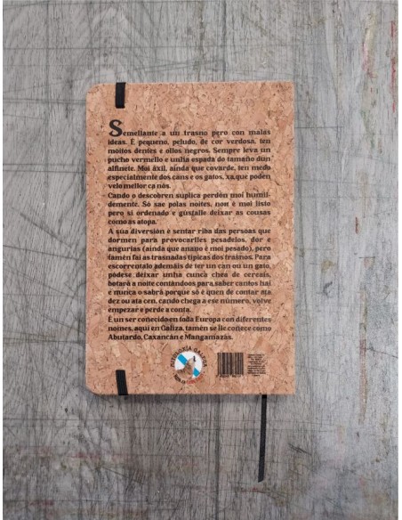 CADERNO CORTIZA TD 80hj. L. A6 TARDO