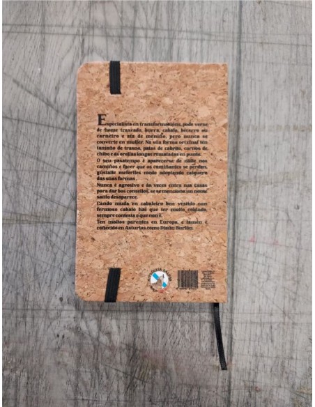 CADERNO CORTIZA TD 80hj. L.A6 DIAÑO BURLEIRO