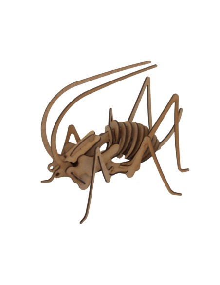 GRILLO POCKET MAQUETA 3D 2PL D2