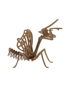 MANTIS RELIG. POCKET MAQUETA 3D 2PL D2
