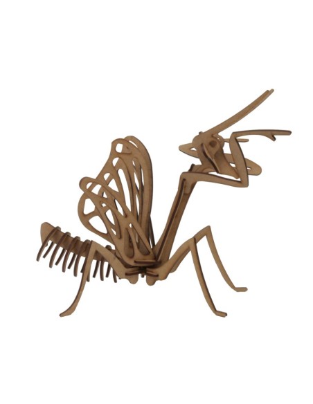 MANTIS RELIG. POCKET MAQUETA 3D 2PL D2